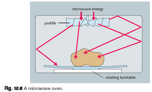 microwave door